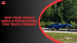 Why Your Vehicle Needs a Professional Tow Truck Company
